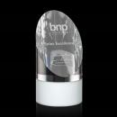 Faccini Award