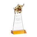 Raging Bull Award - Amber