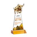 Raging Bull VividPrint&trade; Award - Amber