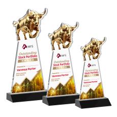 Raging Bull VividPrint Award - Black - Full Color Awards