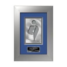 Premier Aquashape Award - Silver - Plaque Awards
