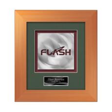 Premier Aquashape Award - Bronze - Plaque Awards
