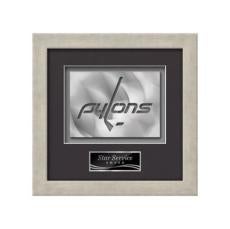 Eldridge Aquashape Award - Antique Silver - Framed Awards & Plaques