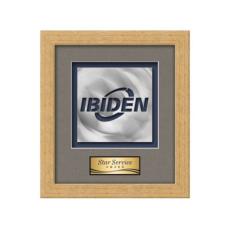 Eldridge Aquashape Award - Antique Gold - Framed Awards & Plaques