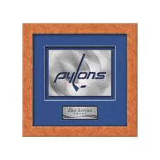 Eldridge Aquashape Award - Light Walnut - Framed Awards & Plaques