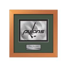 Eldridge Aquashape Award - Bronze - Framed Awards & Plaques