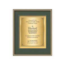 Fenestra Certificate TexEtch - Gold - Framed Awards & Plaques