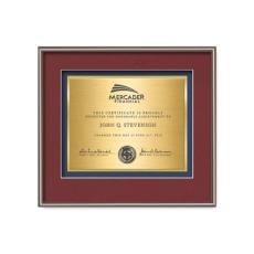 Fenestra Certificate TexEtch - Bronze - Plaque Awards