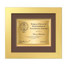 Premier Certificate TexEtch - Gold - Framed Awards & Plaques