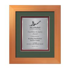 Premier Certificate TexEtch - Bronze - Certificate Frames