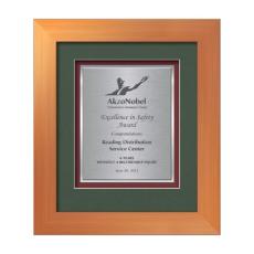 Premier Certificate TexEtch - Bronze - Framed Awards & Plaques