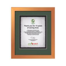 Eldridge -  Bronze - Framed Awards & Plaques
