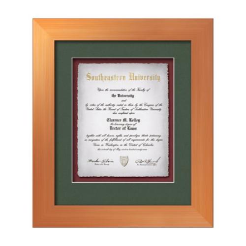 Plaque Awards - Framed Awards & Plaques - Premier -  Bronze
