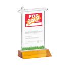 Real Estate Award - Amber