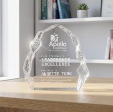 Houston Iceberg Award - Desktop Awards