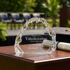 Spence Iceberg Award - Desktop Awards