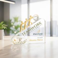 Synergy VividPrint Award - Metal Awards
