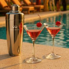 Pescara Shaker & Santiago Martini Set - Martini Glasses and Shakers