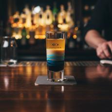 Portland Shot Glass - VividPrint - Shot Glasses