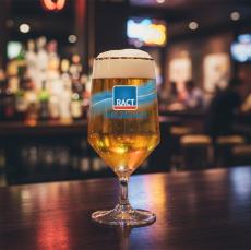Tucson Gold Rim Beer Glass - VividPrint - Beer Glasses & Steins