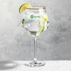 Tucson Gold Rim Gin & Tonic - Imprinted - Hiball Glasses
