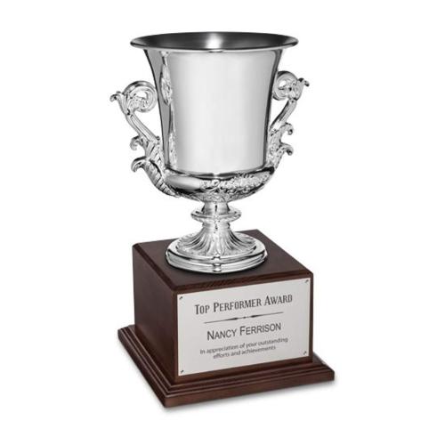 Recognition Awards - Shop by Recipient - Sales Awards - Award Cup - Silver
