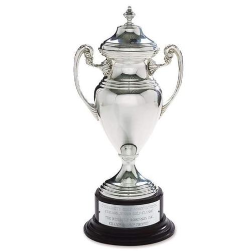 Silver Cup Award Recognition Awards - Metal Awards - Silver Cup Award