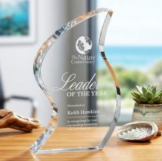 Nexis Award - Crystal Awards
