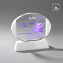 Darwin VividPrint&trade; Award on Newhaven Base - White