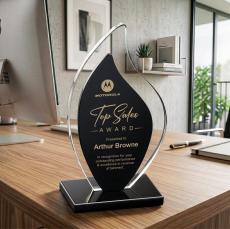 Flamingo Award - Black - Crystal Awards