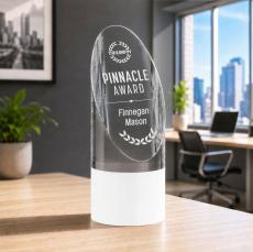 Faccini Award - Between $80 and $150