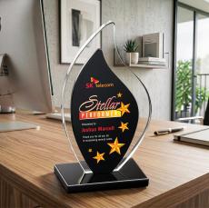 Flamingo VividPrint Award - Black - Crystal Awards