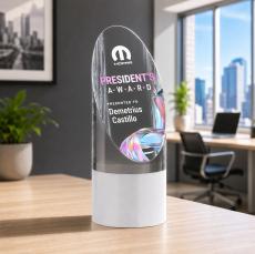 Faccini VividPrint Award - New Items