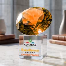 Amber on Cube VividPrint Award - Sales Awards