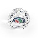 Driscoll VividPrint&trade; Paperweight - Clear