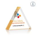 Spartan Triangle VividPrint&trade; Award - Gold