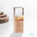 Coteau Award