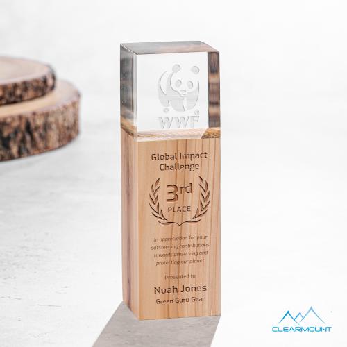 Recognition Awards - Acrylic Awards - Branche Award