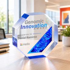 Melrose Octagon VividPrint Award - Blue - Deal Toys