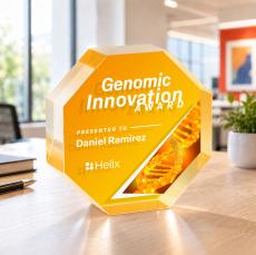 Melrose Octagon VividPrint Double Sided Award - Gold - Deal Toys