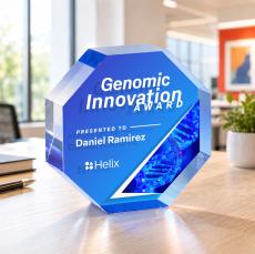 Melrose Octagon VividPrint Double Sided Award - Blue - Deal Toys
