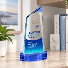 Sandown VividPrint Award on Alberton Base - Blue - New Items