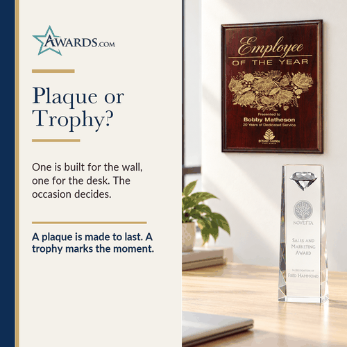 An award plaque on the wall above a crystal trophy on a desk